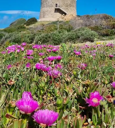 Rena Bianca 3 * Santa Teresa Gallura